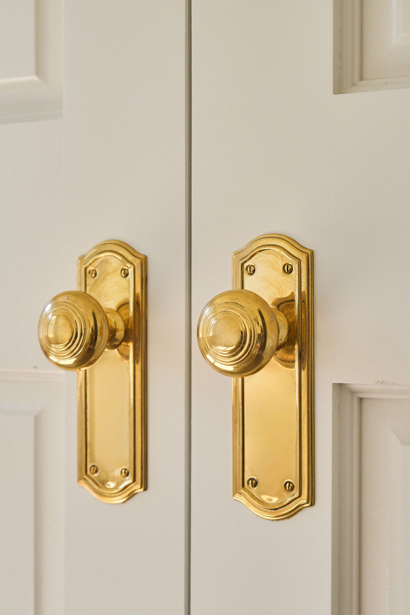 Arched Backplate Interior Set | Charleston Hardware